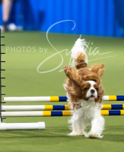 2025-7-13-July-Trial-145