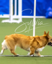 2025-7-13-July-Trial-149