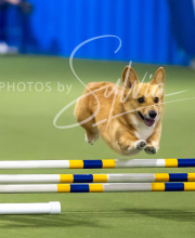 2025-7-13-July-Trial-152