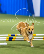 2025-7-13-July-Trial-153