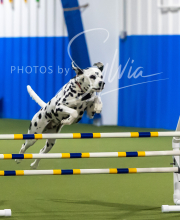 2025-7-13-July-Trial-157