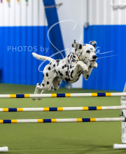 2025-7-13-July-Trial-158