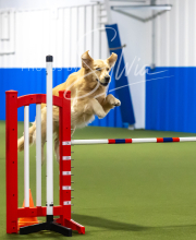 2025-7-13-July-Trial-169