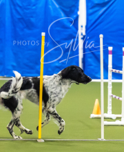 2025-7-13-July-Trial-17