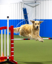 2025-7-13-July-Trial-171