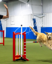 2025-7-13-July-Trial-172