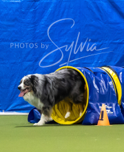 2025-7-13-July-Trial-180