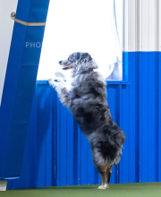 2025-7-13-July-Trial-182