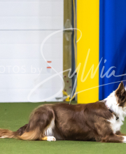 2025-7-13-July-Trial-201