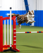 2025-7-13-July-Trial-212