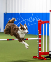 2025-7-13-July-Trial-214