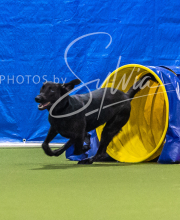 2025-7-13-July-Trial-218