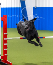 2025-7-13-July-Trial-221