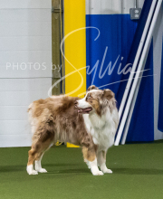 2025-7-13-July-Trial-226