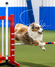 2025-7-13-July-Trial-237