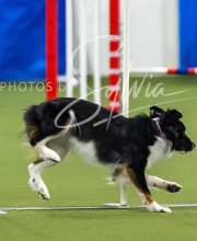 2025-7-13-July-Trial-241