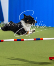 2025-7-13-July-Trial-248