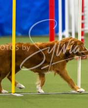 2025-7-13-July-Trial-254