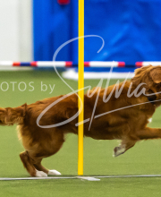 2025-7-13-July-Trial-258