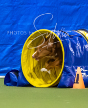 2025-7-13-July-Trial-264