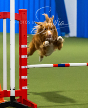 2025-7-13-July-Trial-271