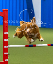 2025-7-13-July-Trial-272