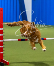 2025-7-13-July-Trial-273