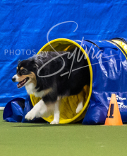 2025-7-13-July-Trial-281