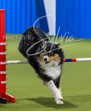 2025-7-13-July-Trial-286