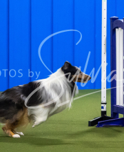 2025-7-13-July-Trial-289