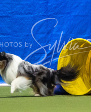 2025-7-13-July-Trial-295