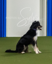 2025-7-13-July-Trial-301