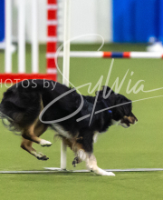 2025-7-13-July-Trial-304