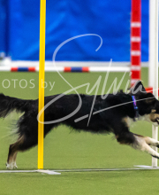 2025-7-13-July-Trial-307