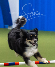 2025-7-13-July-Trial-311