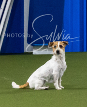 2025-7-13-July-Trial-313