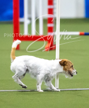 2025-7-13-July-Trial-318