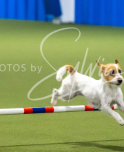 2025-7-13-July-Trial-325