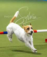 2025-7-13-July-Trial-326