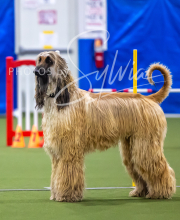 2025-7-13-July-Trial-33