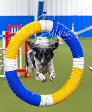 2025-7-13-July-Trial-339