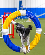 2025-7-13-July-Trial-340