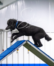 2025-7-13-July-Trial-343