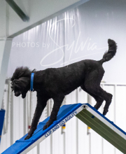 2025-7-13-July-Trial-345