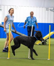 2025-7-13-July-Trial-346