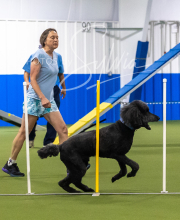 2025-7-13-July-Trial-348