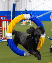 2025-7-13-July-Trial-357