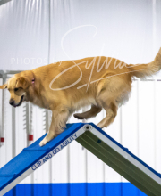 2025-7-13-July-Trial-362