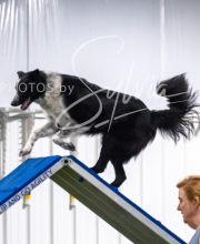 2025-7-13-July-Trial-364