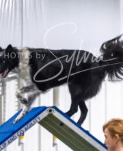 2025-7-13-July-Trial-365